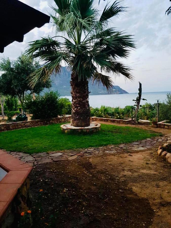 Il Bacio Del Sole Appartement Tertenìa Buitenkant foto