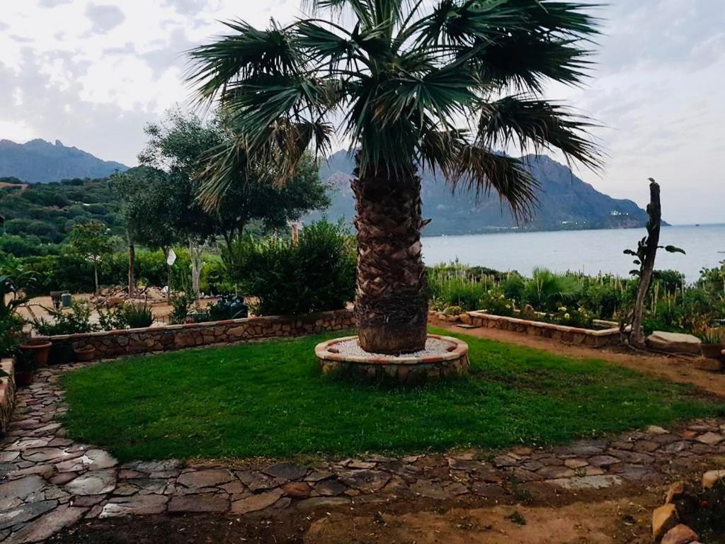 Il Bacio Del Sole Appartement Tertenìa Buitenkant foto